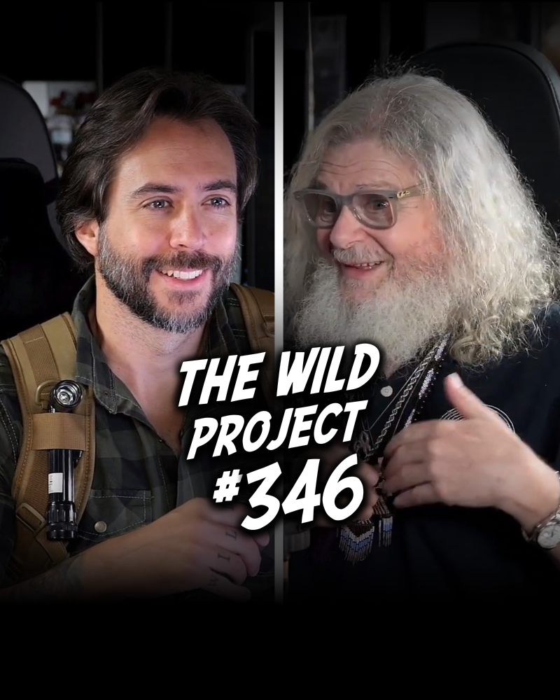 Imagen de portada del espectáculo The Wild Project