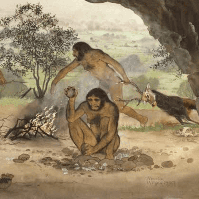 episode História - Período paleolítico artwork