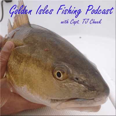 episode GIFP: Episode 10 | Tripletail Finally Here | Ocean Coming to Life artwork