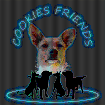 Cookies Friends. Podcast für Tierschutz-Hunde