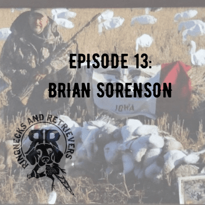 episode #13 - Interview with Brian Sorenson artwork