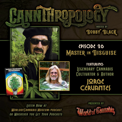 episode EP. 26 - MASTER IN DISGUISE (with guest Jorge Cervantes) artwork