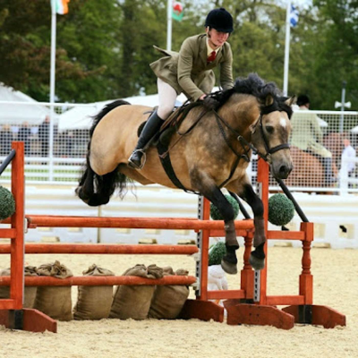 episode In the Ring: Mastering Working Hunter with Native Pony Experts artwork