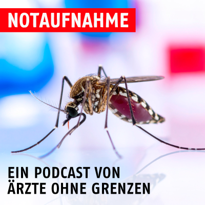 episode Mut zur Mücke: Tigermücken-Taskforce im Einsatz gegen Dengue artwork