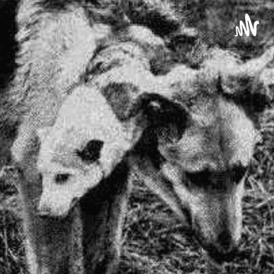 Cachorro De Duas Cabeças 😨