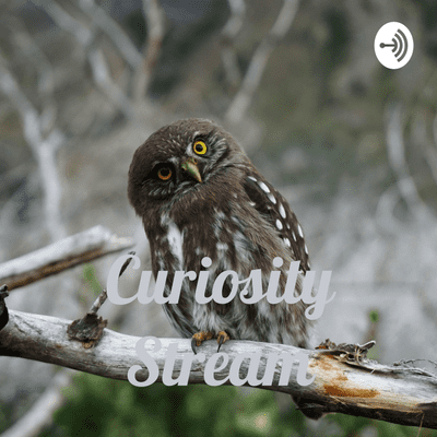 Curiosity Stream