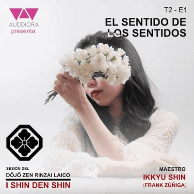 episode T2-P1. El sentido de los sentidos artwork