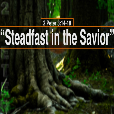 episode 2 Peter 3:14-18, Steadfast in the Savior artwork
