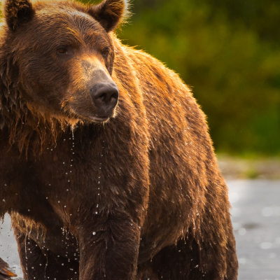 episode Episode 71 artwork