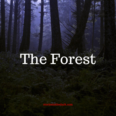 episode The Forest artwork