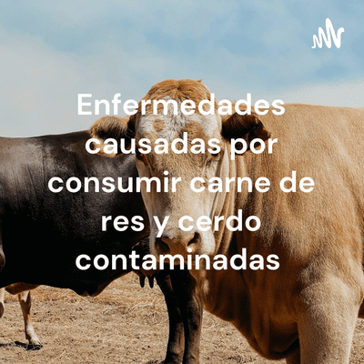 Enfermedades causadas por consumir carne de res y cerdo contaminadas