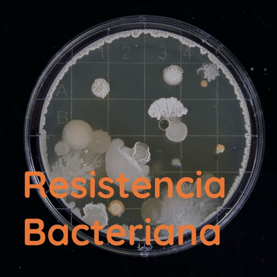 Resistencia Bacteriana