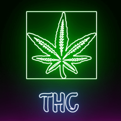 episode THC: La reencarnacion y Blackjack CAP 1 artwork