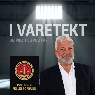 I varetekt - om politi og politikk