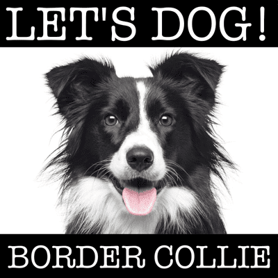 episode 010 Eignet sich der Border Collie als Rettungshund? Dr. Leopold Slotta Bachmayer artwork