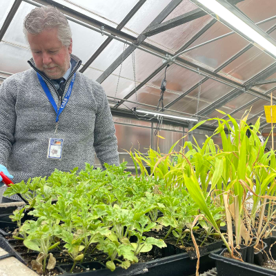 episode Shifting Perspectives: How Nanotech is Gaining Ground in Farming artwork