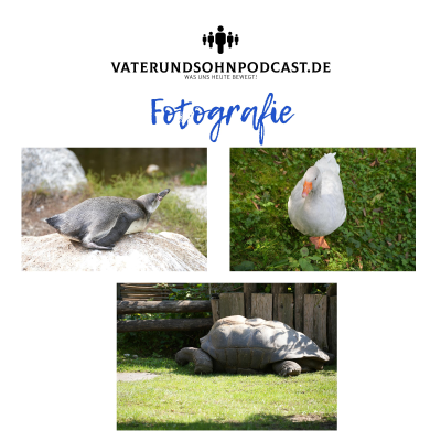 episode Fotografie - Warum wir fotografieren, Ausrüstung, Fotoshow und Leidenschaft artwork
