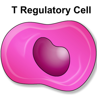 episode New Antibody Removes Tregs to Boost Immune Response Against Cancer artwork