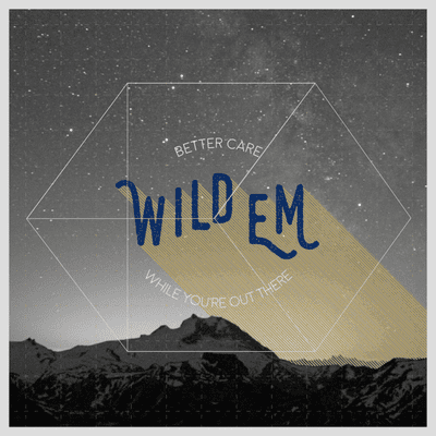 episode WildEM E13 - simulation debreifing (Med Ed.) artwork