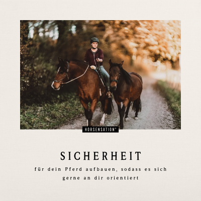 episode Wie du Sicherheit für dein Pferd aufbaust, damit es sich gerne an dir orientiert artwork