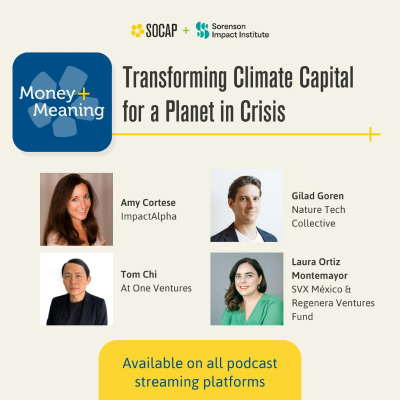 episode Transforming Climate Capital for a Planet in Crisis artwork