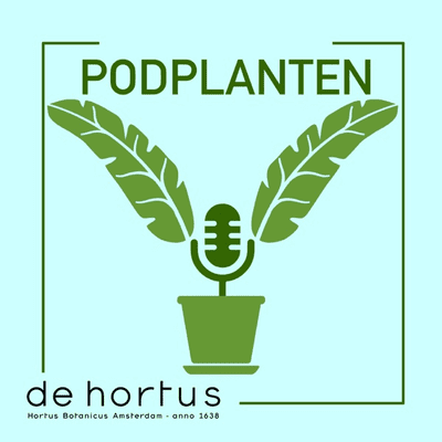 Podplanten