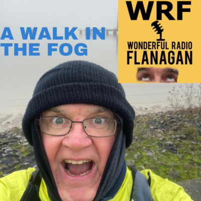 episode A WALK IN THE FOG BY THE RIVER artwork