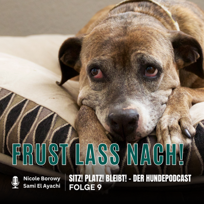 episode #9 Frust lass nach - Unsere Tipps plus Buchempfehlung artwork