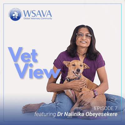 episode Ep 7. A day in the life of: Dr Nalinika Obeyesekere (from Sri Lanka) artwork