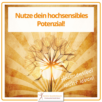 episode 🦋 Hochsensibel & wirksam – wie deine Sensibilität zur Coaching-Kompetenz wird artwork