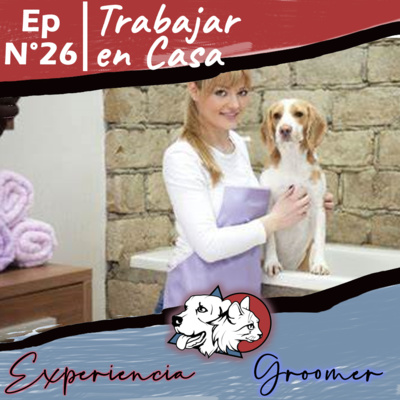 episode Episodio N°26 | Trabajar en casa, beneficioso? artwork