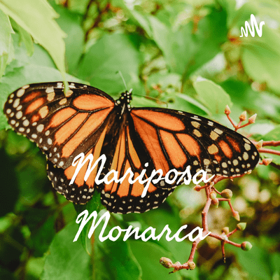 Mariposa Monarca