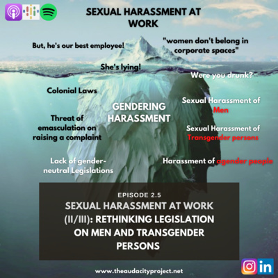 episode Rethinking Legislation on Men and Transgender Persons (Sexual Harassment at Work) artwork