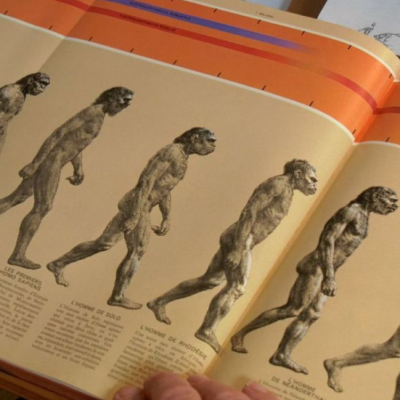 episode Neandertal, tras la huella de otra humanidad artwork