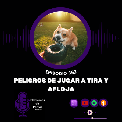 episode EP#362 Peligros del juego de tira y afloja artwork