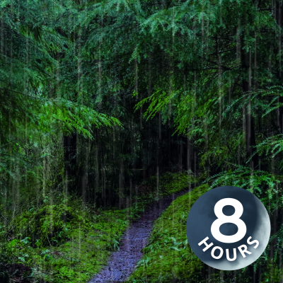 episode Rain Sounds for Sleep in Relaxing Rainforest | 8 Hours artwork