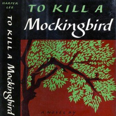 episode Episode 25 - To Kill a Mockingbird artwork