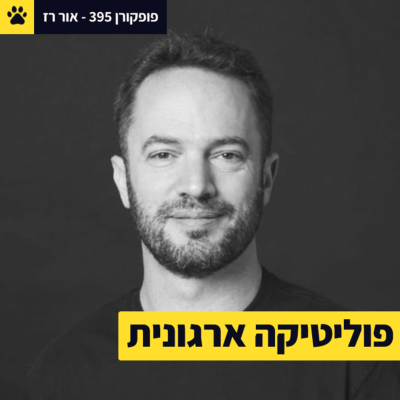 episode לזהות את משחקי הכוח | פוליטיקה ארגונית חכמה | מאחורי המטריקס | אור רז – פופקורן 395 artwork