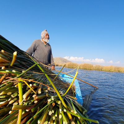 episode Totora, la planta mágica del Lago Titicaca en Español artwork