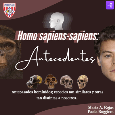 episode Homo Sapiens-Sapiens: Antecedentes artwork