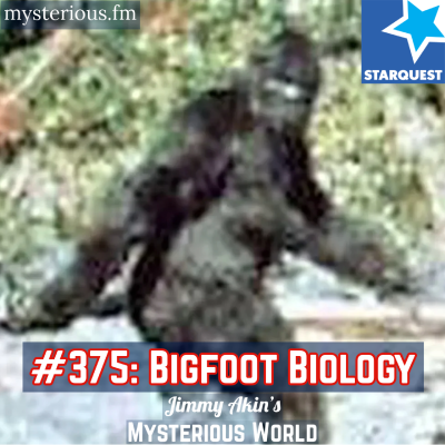 episode Bigfoot Biology (Sasquatch, Cryptid, Cryptozoology) artwork