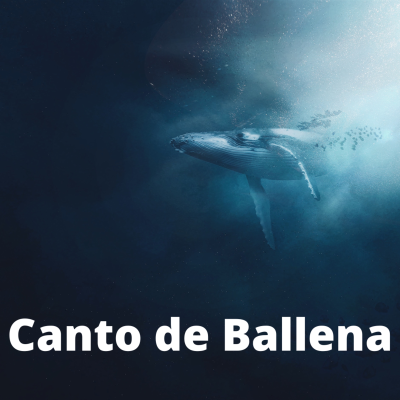 episode Canto de Ballena (8 horas) - Sonidos de la naturaleza para relajarse y dormir artwork