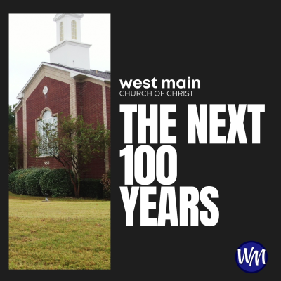 episode E328: The Next 100 Years artwork