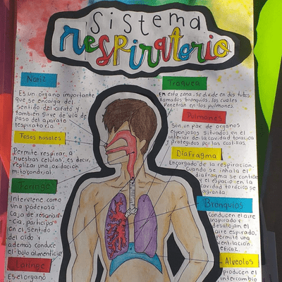 episode Sistema respiratorio artwork
