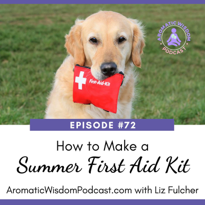 episode 72: How to Make A Summer First Aid Kit artwork