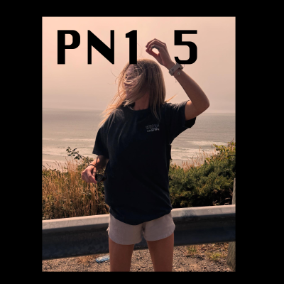 episode PN105. PN Discusses Big Wood artwork
