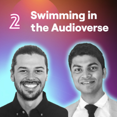 episode Swimming in the Audioverse artwork