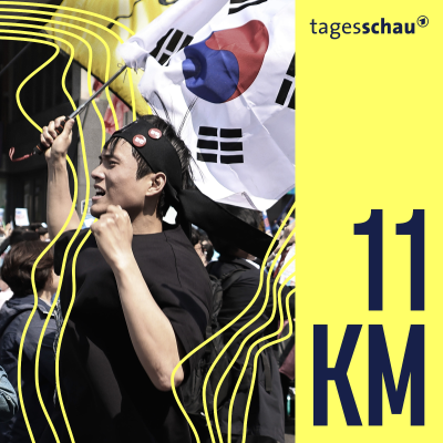 episode Wahl in Südkorea: Eine gerettete Demokratie? artwork