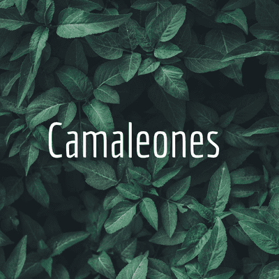 Camaleones