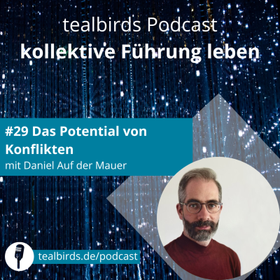 episode #29 Das Potential von Konflikten - Daniel Auf der Mauer artwork